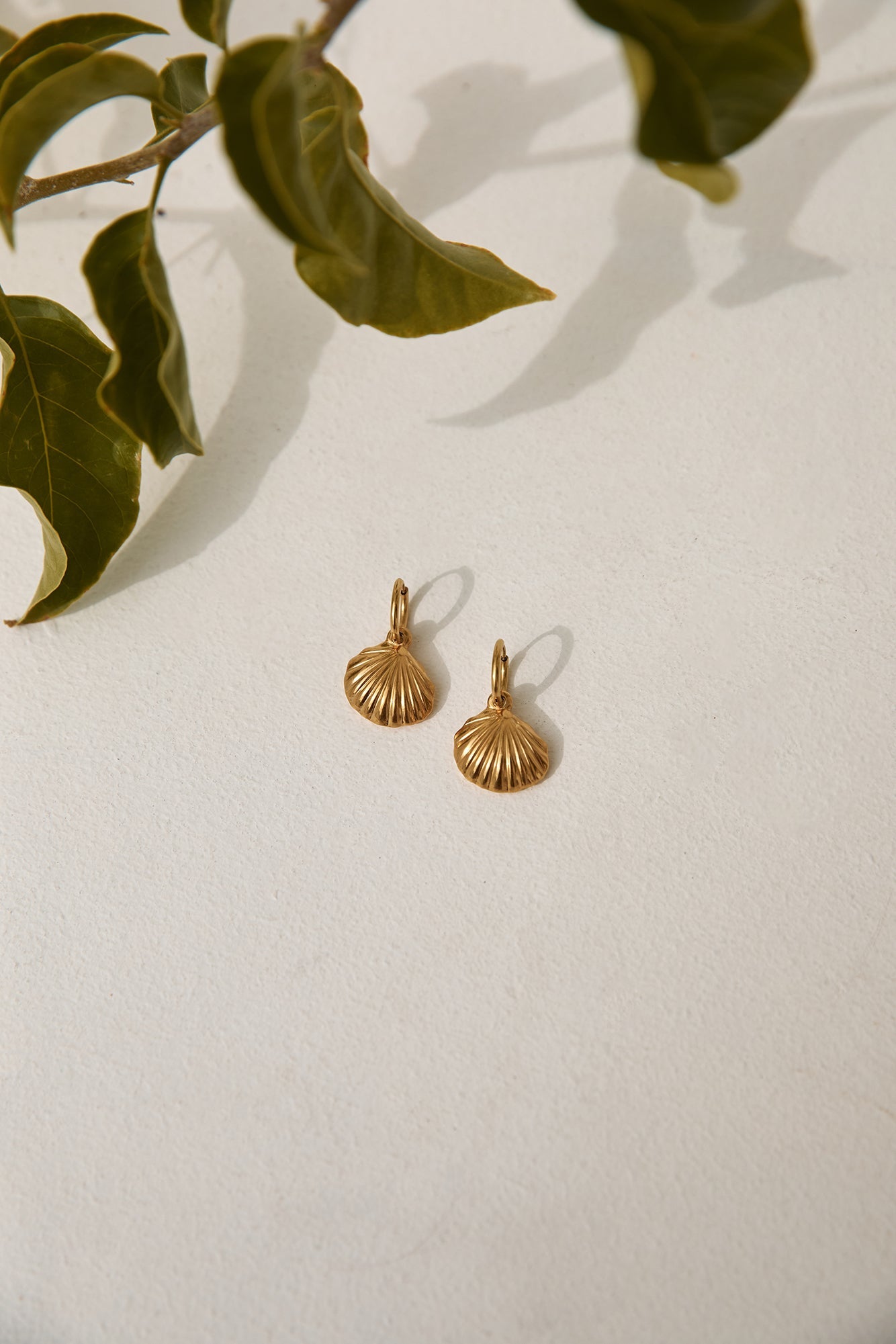 18k Gold Plated Shore Discovery Earrings Gold